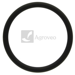 Oring 74706397 F119200050090, 04200582