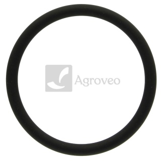 Oring 74706397 F119200050090, 04200582