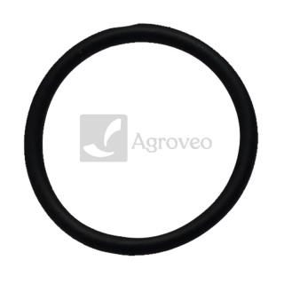 Oring 74707006 14457880, 9672549