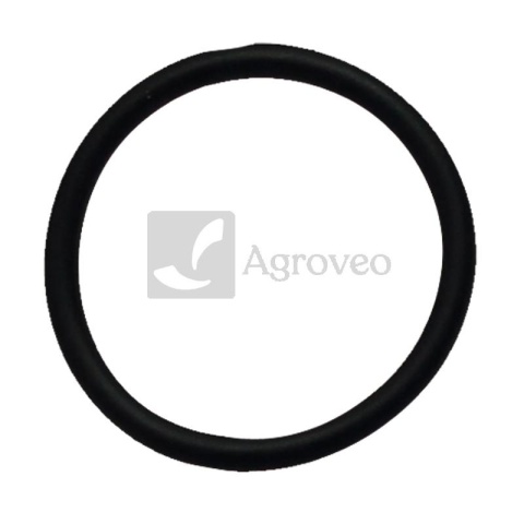 Oring 74707006 14457880, 9672549