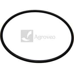 Oring 74712446 R56757