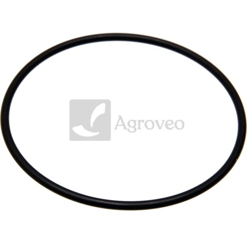 Oring 74712446 R56757