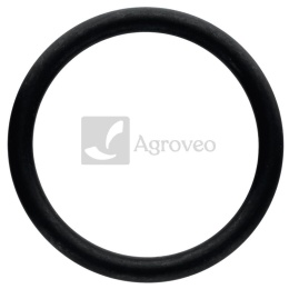 Oring 74715189 LA614604958, V614604958