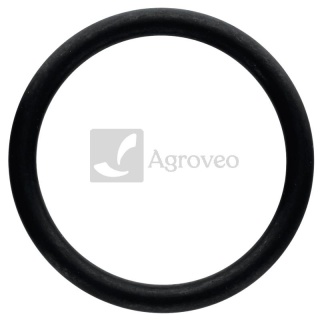 Oring 74715189 LA614604958, V614604958