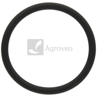 Pierścień uszczelniający 38006910 F934201610010