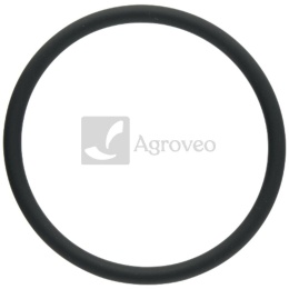 Pierścień uszczelniający 38006911 F934201610020