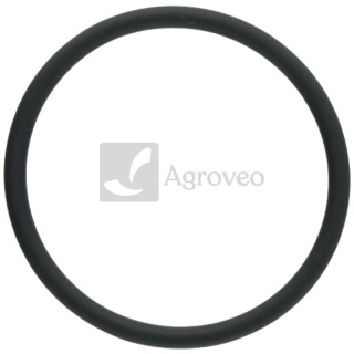 Pierścień uszczelniający 38006911 F934201610020