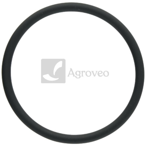 Pierścień uszczelniający 38006911 F934201610020