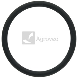 Pierścień uszczelniający 74706402 F339202050020, 01182555