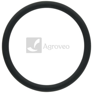 Pierścień uszczelniający 74706402 F339202050020, 01182555