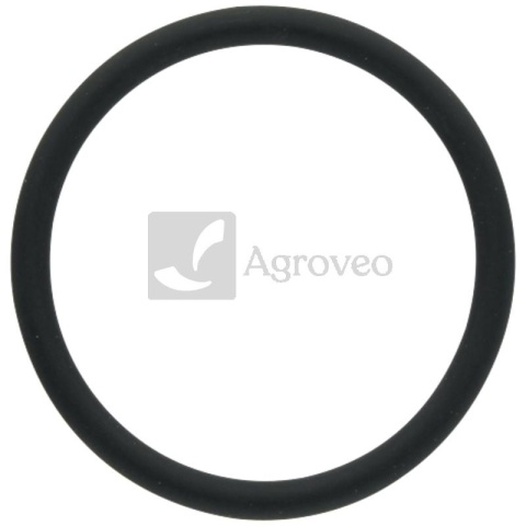 Pierścień uszczelniający 74706402 F339202050020, 01182555