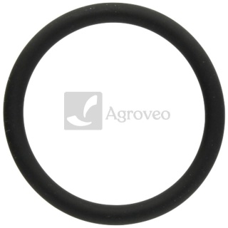 Pierścień uszczelniający 74706403 F339202050030, 01182545