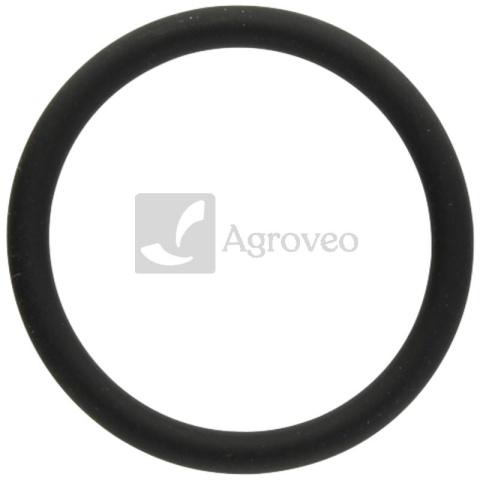 Pierścień uszczelniający 74706403 F339202050030, 01182545