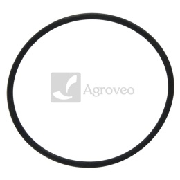 Pierścień uszczelniający 74715175 4225843M1, 2415H008