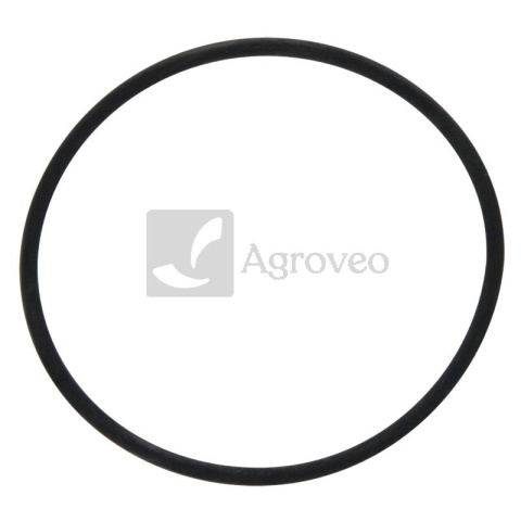 Pierścień uszczelniający 74715175 4225843M1, 2415H008