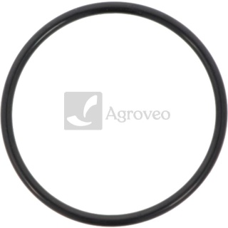 Pierścień uszczelniający 74717116 87803066, 75287880, 504062856, 4899052, 2852047, J906698