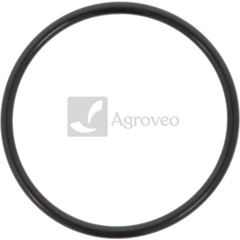 Pierścień uszczelniający 74717116 87803066, 75287880, 504062856, 4899052, 2852047, J906698
