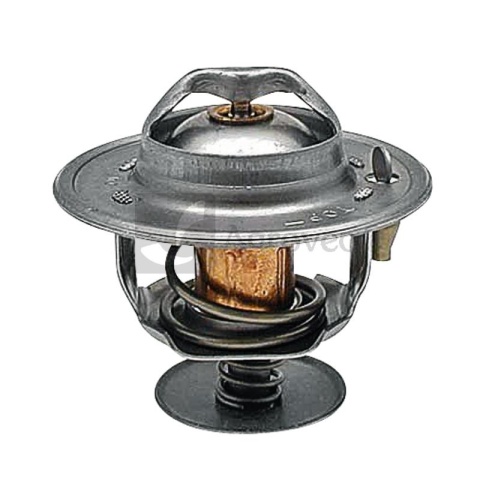 Termostat 74702045 218039A1