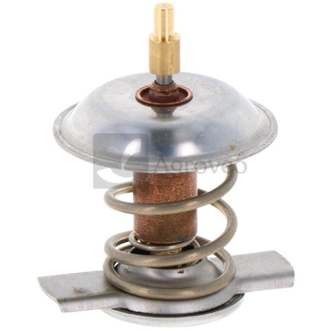 Termostat 74704028 04800584, 04198786
