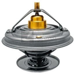 Termostat 74706079 F824200050060