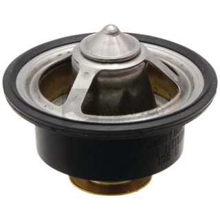 Termostat 74712478 RE538289, DZ122884, DZ128844