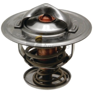 Termostat 74715043 1447384M1, 2485613