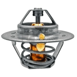 Termostat 74718043 6005022968