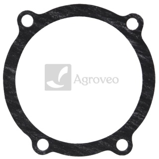 Uszczelka 74702024 311782A1