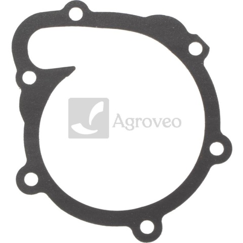 Uszczelka 74704002 04800918, 04202975, 70-29061-00