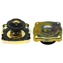 Korek wlewu chłodnicy 74723054 972501, 53013905