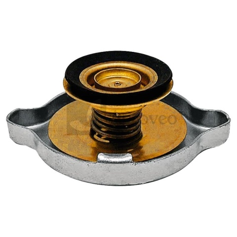 Korek wlewu chłodnicy 74760005 F138208052010