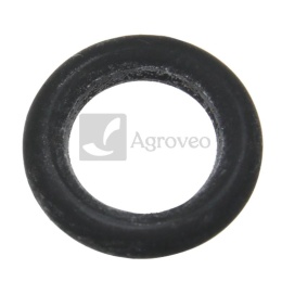 Oring 74712217 L169999