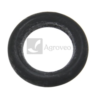 Oring 74712217 L169999