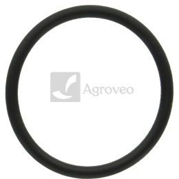 Oring 380120395 T122075