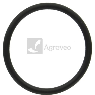 Oring 380120395 T122075