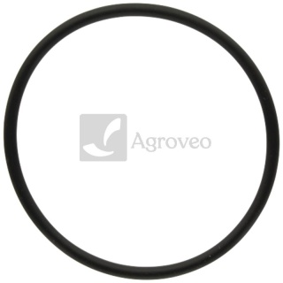 Oring 380151082 1447207M1