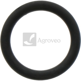 Oring 70815472 4224760M1