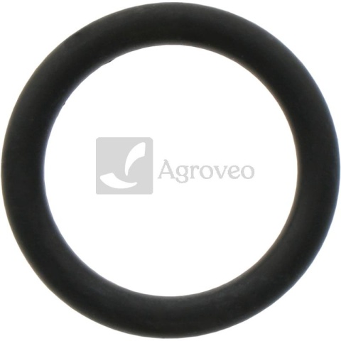 Oring 70815472 4224760M1