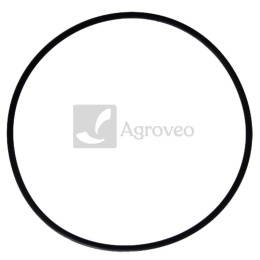 Pierścień uszczelniający 380002178 189051A1