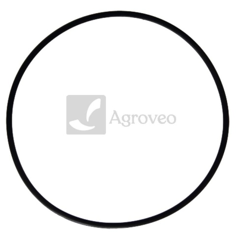 Pierścień uszczelniający 380002178 189051A1