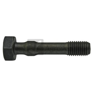 Śruba korbowodu 38060037 F139207310421, F139207310420