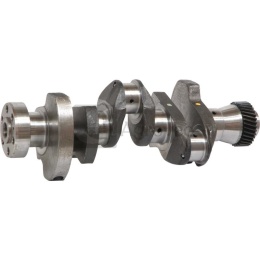 Wał korbowy 3800600012 F138211310010, F307200310010