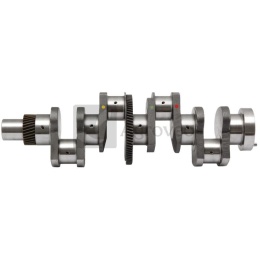 Wał korbowy 4 cyl. 380002261 3132968R93