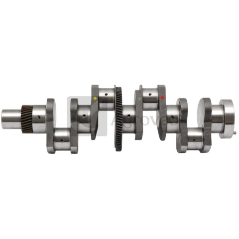 Wał korbowy 4 cyl. 380002261 3132968R93