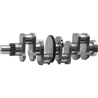 Wał korbowy 4 cyl. 38002951 3144626R92