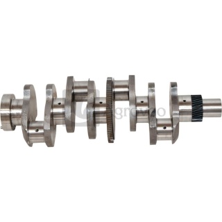 Wał korbowy 4 cyl. 38002954 3228376R91