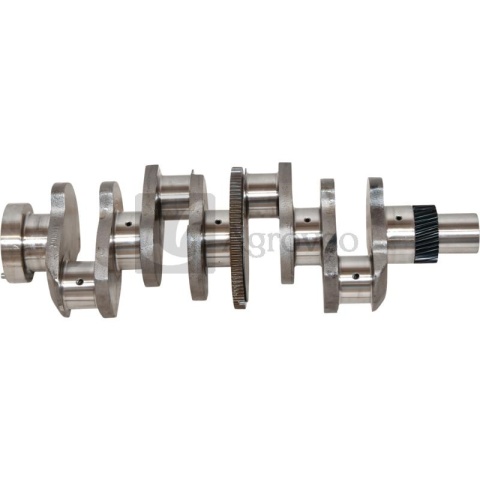 Wał korbowy 4 cyl. 38002954 3228376R91