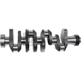 Wał korbowy 4 cyl. 38006493 F310200310010