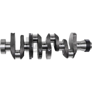 Wał korbowy 4 cyl. 38006493 F310200310010