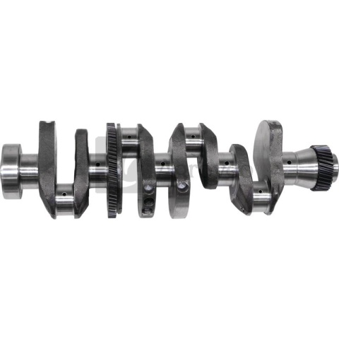 Wał korbowy 4 cyl. 38006493 F310200310010